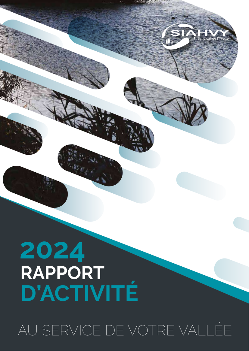 Rapport D'activité 2024